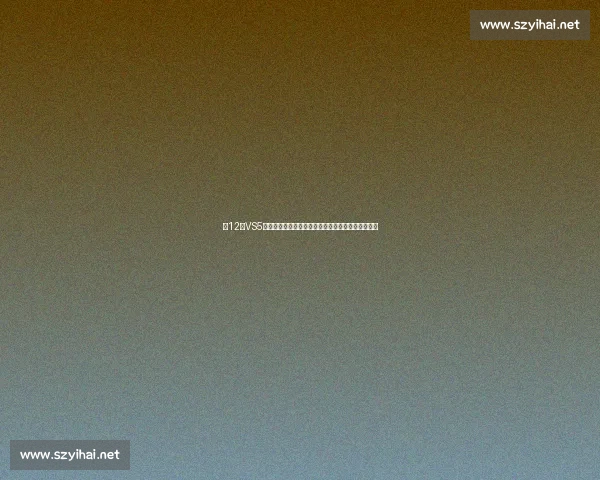 以12月VS5为中心的市场洞察与趋势对比深度分析报告展望未来