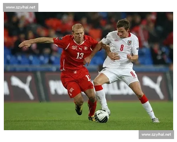 瑞士对阵波兰比赛前瞻与胜负走向深度预测分析解读全面看点解析汇 瑞士对阵波兰比赛前瞻与胜负走向深度预测分析解读全面看点解析汇