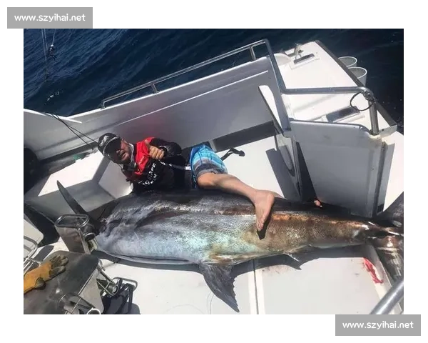 深海王者之战：剑鱼对决鲨鱼的速度力量与生存智慧较量